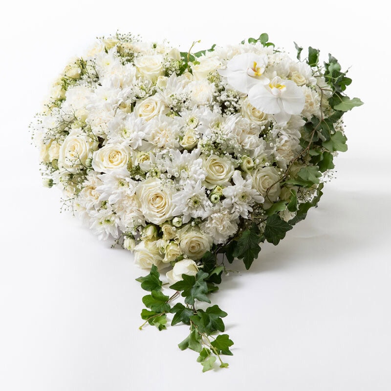 Hjerte hvit stor begravelse bisettelse blomster